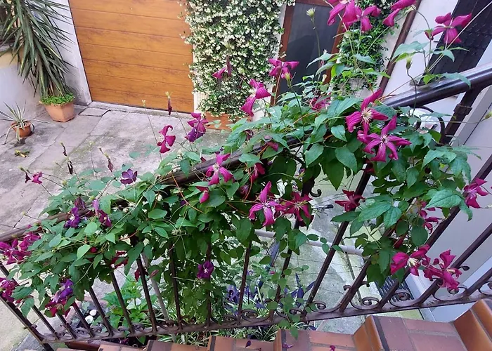 Casa Di Chicca 克雷莫纳
